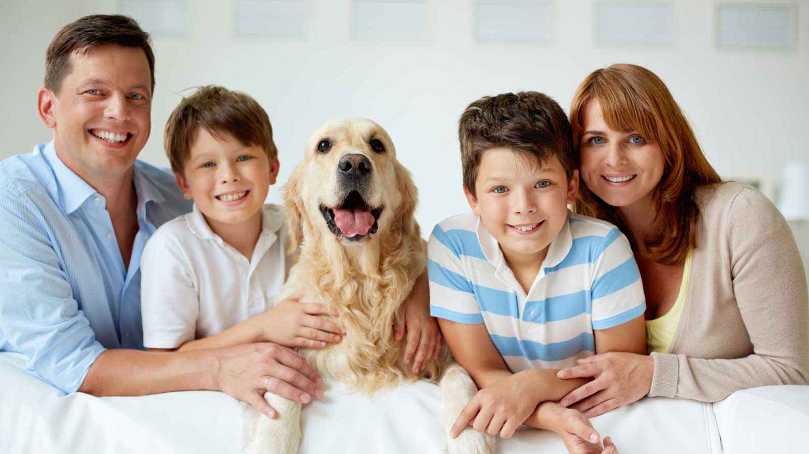 Campus & Fresher Hiring